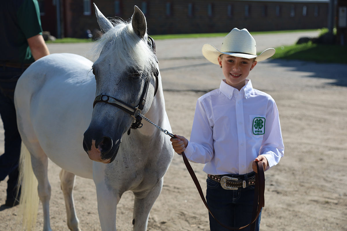 4-h horse.JPG